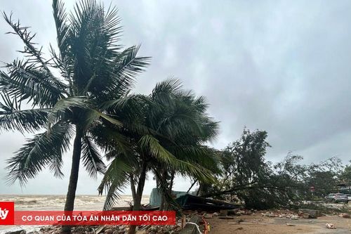 Đề xuất 2 dự án chống sạt lở ở Sầm Sơn