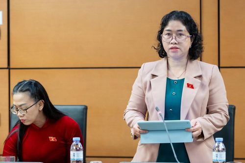 ĐBQH kiến nghị giao cơ quan chuyên ngành chủ trì hợp phần đặc thù về công tác dân tộc
