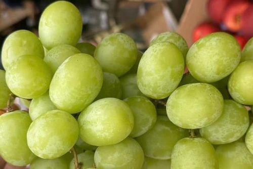 Người đàn ông ngừng thở vì nửa quả nho xanh