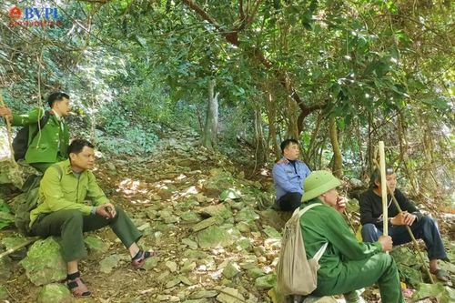 Kiểm sát khám nghiệm hiện trường vụ phá rừng Khu bảo tồn thiên nhiên Pù Luông