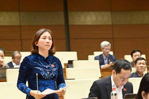 Đại biểu Quốc hội đoàn Nghệ An thảo luận về việc tích hợp 3 Chương trình Mục tiêu quốc gia