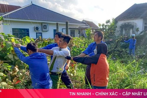 Khí thế thi đua sôi nổi của tuổi trẻ Hà Tĩnh chào mừng Đại hội Đoàn