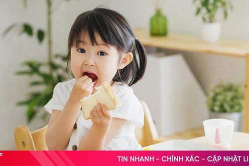 Hành trình giúp con vượt qua biếng ăn - 'Bí mật' nằm ở việc chăm sóc đường ruột