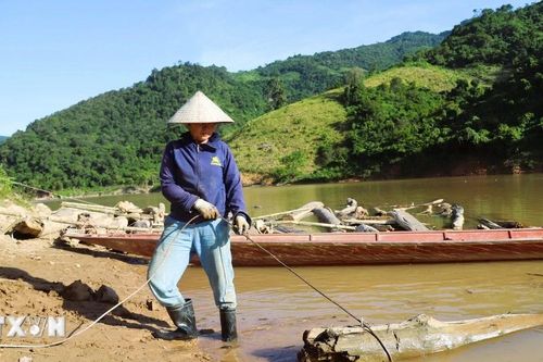 Nghệ An: Hiểm nguy 'nghề' vớt gỗ tự phát trên lưu vực sông Nậm Nơn
