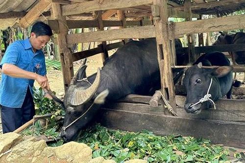 Giảm nghèo đa chiều: Từ 'điểm sáng' quốc tế đến cải thiện thực chất