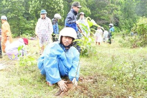 Một tỷ cây xanh và bước chuyển mới của nông thôn Việt Nam
