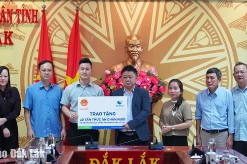 Doanh nghiệp tặng con giống, thức ăn chăn nuôi giúp nông dân Đắk Lắk khôi phục sản xuất