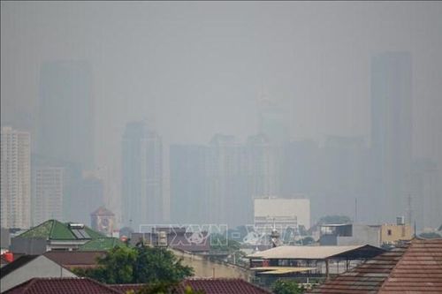 Indonesia: Khoảng trống tài chính khổng lồ để đạt mục tiêu khí hậu