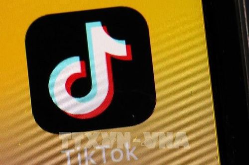 TikTok rót 38 tỷ USD vào Brazil xây trung tâm dữ liệu và công viên điện gió