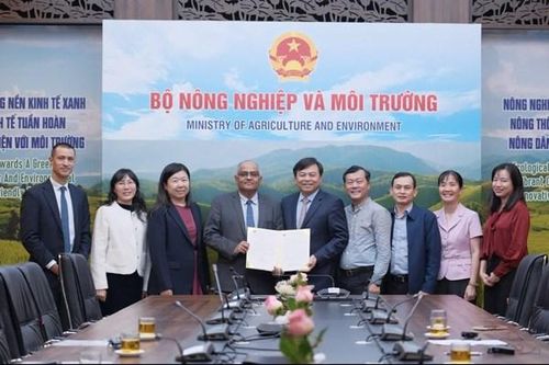 Điểm tin kinh tế Việt Nam nổi bật ngày 5/12/2025