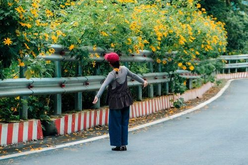 Tạp chí Mỹ đánh giá Việt Nam lọt top tuyệt vời khi đi du lịch một mình, thứ hạng gây bất ngờ