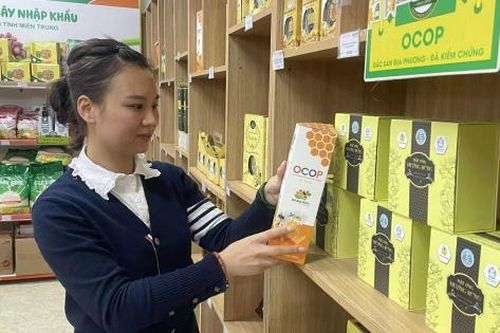 Tuyên Quang: Tăng sức cạnh tranh nông sản qua chuỗi giá trị