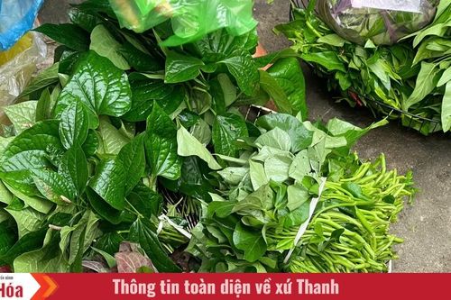 Chợ quê trong lòng phố