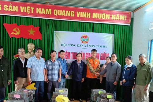 Hỗ trợ nông dân nuôi dúi thâm canh