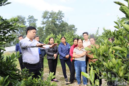 Chủ động thích ứng với biến đổi khí hậu