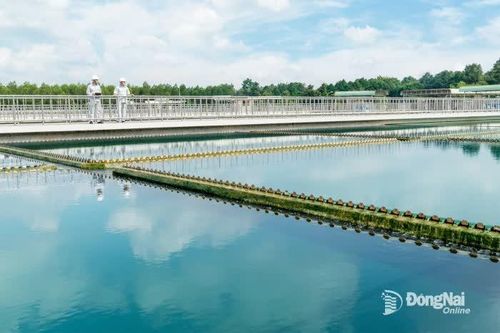 Công ty Cấp nước Đồng Nai cảnh báo thủ đoạn lừa đảo