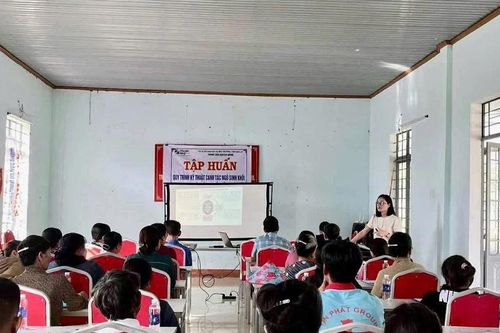Tập huấn kỹ thuật trồng ngô sinh khối cho nông dân xã Pờ Tó