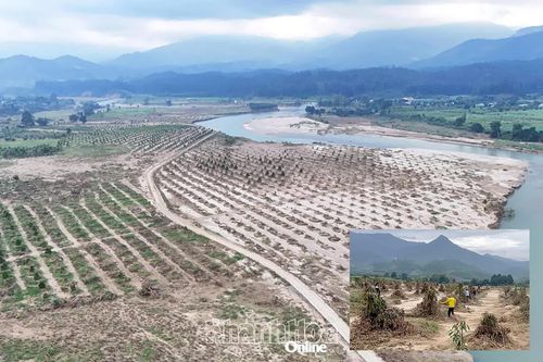 Hỗ trợ người dân miền núi khôi phục sản xuất