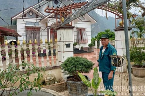 Cựu chiến binh làm kinh tế giỏi