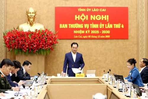 Dự án khắc phục, xử lý lý tình trạng ngập, úng ven sông Hồng khu vực trung tâm tỉnh phải đảm bảo 'thuận thiên' và 'hợp lòng dân'