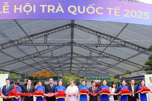 Nhiều hoạt động ý nghĩa trước thềm khai mạc World T.E.A Fest 2025