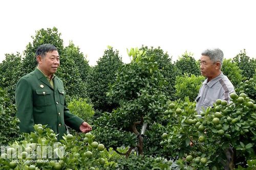 Cựu chiến binh Ninh Bình: Bản lĩnh người lính trong vận hội mới