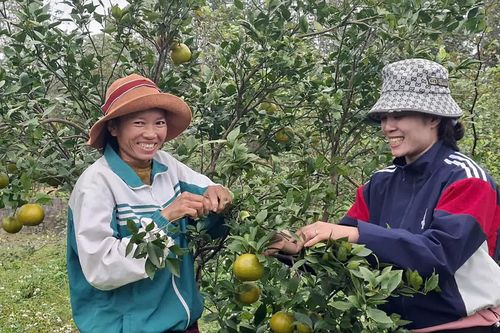 Tiếp cận kiến thức-'chìa khóa' giảm nghèo