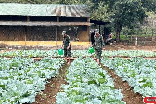 Tích cực tăng gia sản xuất, nâng cao đời sống bộ đội