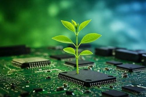 Thị phần đầu tư mạo hiểm vào công nghệ khí hậu của Việt Nam tăng gần gấp đôi mức trung bình toàn cầu