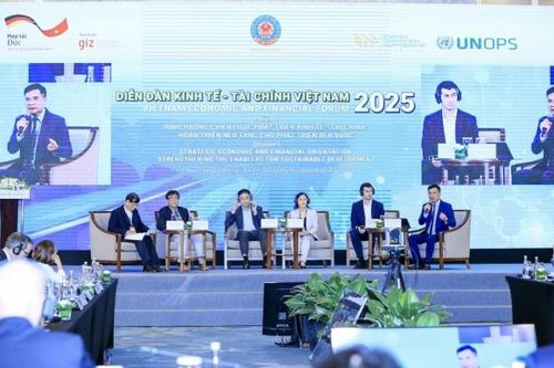 'Cơ hội Harvard' và yêu cầu cải cách thể chế