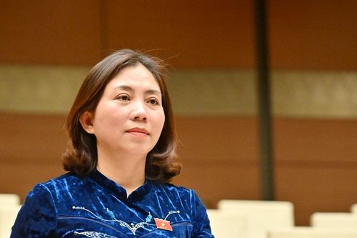 ĐBQH Hoàng Thị Thu Hiền (Nghệ An) Thiết kế chương trình phải bảo đảm tính khả thi, tránh chồng chéo