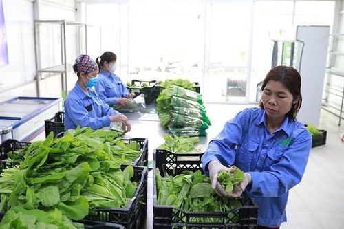 Làm rõ nguồn lực, củng cố năng lực để Chương trình mục tiêu quốc gia '3 trong 1'
