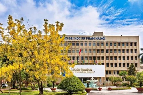 Bộ Giáo dục và Đào tạo dự kiến sáp nhập cao đẳng sư phạm vào đại học sư phạm