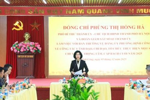 Chủ tịch HĐND thành phố Phùng Thị Hồng Hà: Phường Định Công cần thực hiện tốt các nhiệm vụ trọng tâm, cấp bách