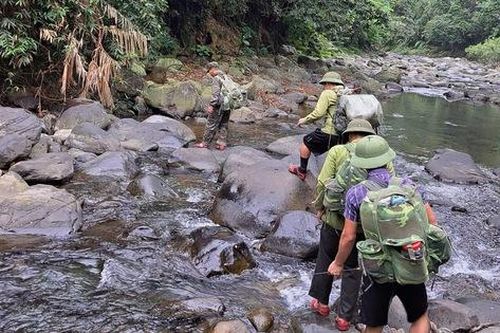 Những hiểm nguy trong hành trình bảo vệ động vật hoang dã quý hiếm
