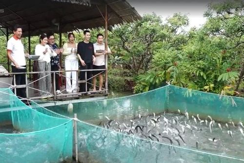 Đặc sắc Lễ hội Văn hóa sông nước Cần Thơ và các sản phẩm du lịch đặc thù thu hút du khách