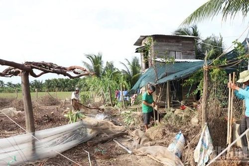 Khánh Hòa: Xã Phước Hậu khẩn trương khôi phục sản xuất sau mưa lũ