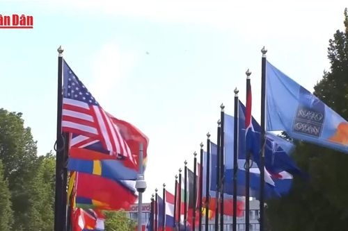 Mỹ muốn châu Âu 'gánh' NATO trước 2027