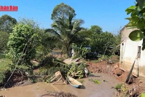 Khắc phục kịp thời sạt lở cồn Thanh Long, Vĩnh Long