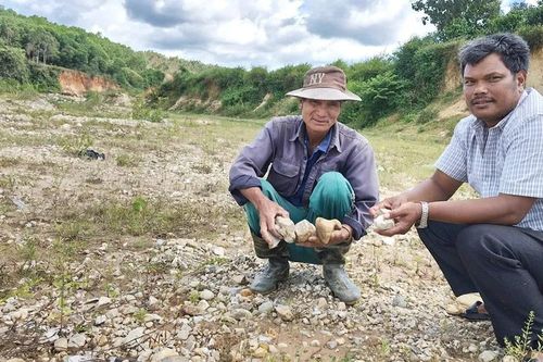 Sông 'nuốt' đất ruộng, dân lo mất sinh kế