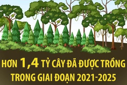 Hơn 1,4 tỷ cây đã được trồng trong giai đoạn 2021-2025