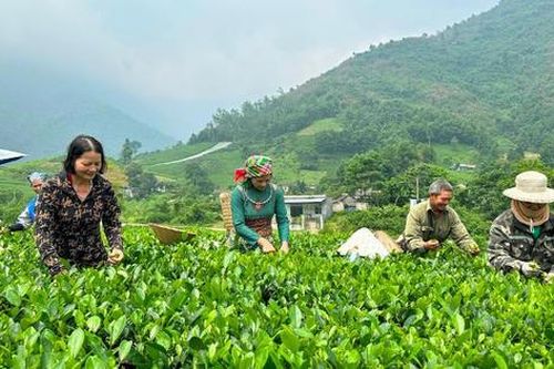 Phát triển các vùng miền bền vững, đồng đều