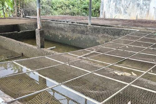 Hơn 4.000 người dân ở Quảng Ngãi sống chung với nước sinh hoạt đục ngầu
