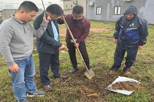 Cơ quan chức năng vào cuộc làm rõ hiện tượng giun chết bất thường ở Quảng Trị