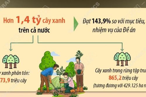 Hơn 1,4 tỷ cây xanh đã được trồng trong vòng 5 năm qua