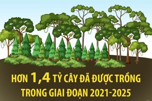 Hơn 1,4 tỷ cây đã được trồng trong giai đoạn 2021-2025