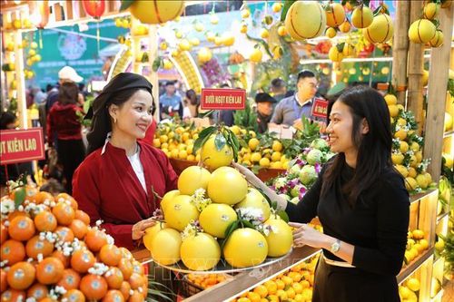 Ấn tượng vẻ đẹp vùng cây ăn quả của Bắc Ninh