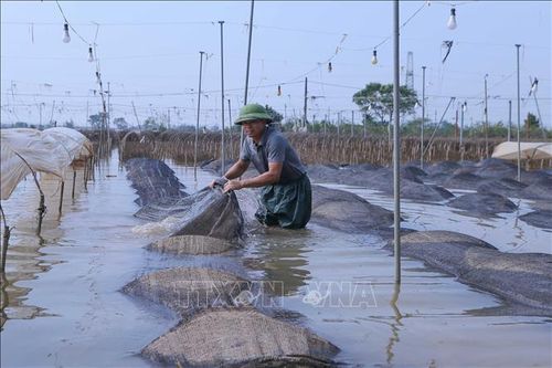 Sau bão lũ, 250.000 khách hàng vay vốn bị ảnh hưởng, dư nợ khoảng 60.000 tỷ đồng