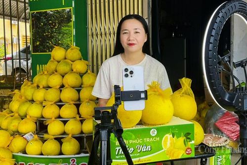 Đặc sản Hà Tĩnh và cơ hội 'gõ cửa' thị trường số - Bài 2: Thương hiệu 'Made in Hà Tĩnh' lên số