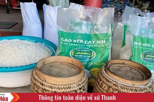 Trên những 'dải lụa' vùng cao xứ Thanh (Bài 2): 'Sản vật' của đất mẹ